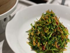 巧拌豆苗-四季民福烤鸭店(王府井灯市口店)