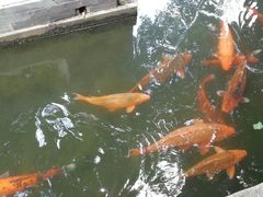 -潮喜竹溪荔湖酒家(荔枝湾店)