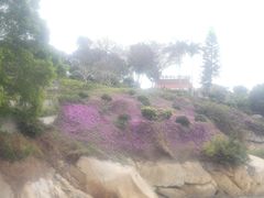 -鼓浪屿钢琴博物馆