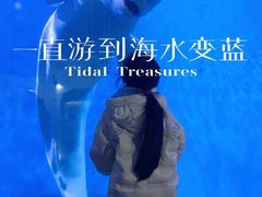 -泉城欧乐堡海洋极地世界