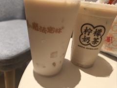 -猫的魔法密林(衣裳街店)
