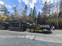 -五营红松林海景区