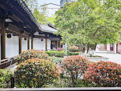 -绳金塔