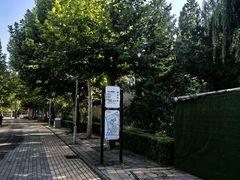 -朝阳公园游乐园