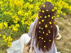 -中国天府农业博览园