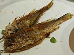 -龚海宝· 烧烤· 羊肉原切挂糊更好吃(庄市店)