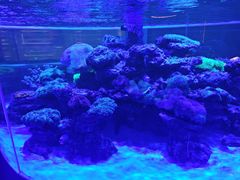 -上和臻品中国菜(花园街店)