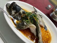 清蒸老虎斑-大欢喜饭店(江怡路店)