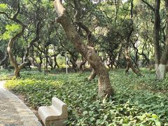 -黄埔荔枝公园