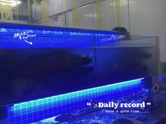 -江南鱼捞(北仑银泰城店)