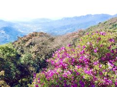 -广州市石门国家森林公园