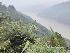 -铁山坪森林公园