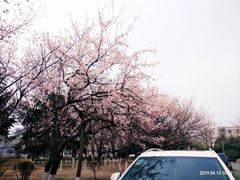 -辽宁大学(崇山校区)