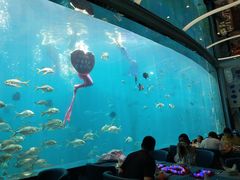 -瑞德姆美人鱼海底演艺主题餐厅(亚龙湾店)