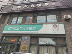 -牛大夫植发