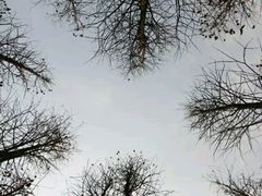 -艾溪湖湿地公园