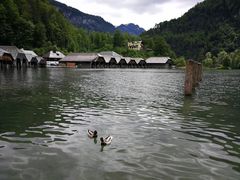-柯尼希湖