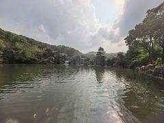 -白马涧龙池景区