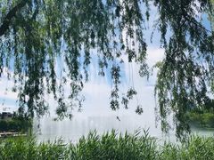 -河北省园博园