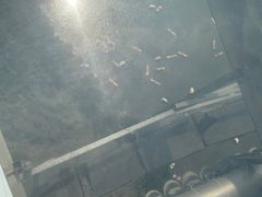 -野三坡刘家河高山漂流