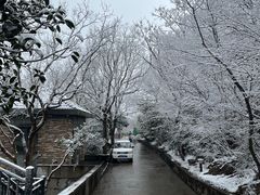 -紫金山山顶公园