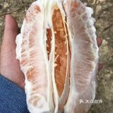 漳平柚子