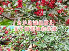 -丽江泸沽湖景区