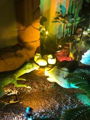 -恐龙探索乐园(磁器口店)