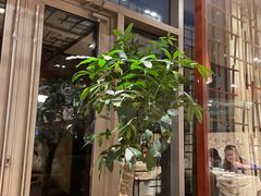 -喜来登由由大酒店九州膳坊中餐厅