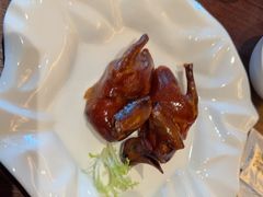 润烧脆皮乳鸽-蛇口希尔顿南海酒店·随轩中餐厅·粤菜