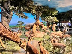 -国家自然博物馆