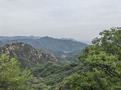 -大岭沟猕猴桃谷风景区