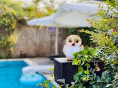 -看见远方·莫干遥远的山民宿