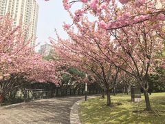 -苏州河梦清园环保主题公园