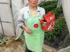 8号阿姨-小鱼草莓采摘园农家乐·小鱼餐厅