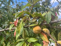 -狼山风景名胜区