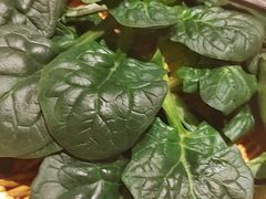 -巴奴毛肚火锅(龙湖锦艺城店)