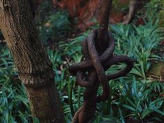 -成都老君山
