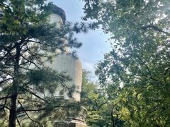 -鹫峰国家森林公园