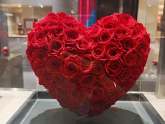 -ROSEONLY诺誓(青岛万象城店)