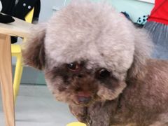 -佳雯宠物医院(金华南路分院)