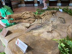 -自贡恐龙博物馆