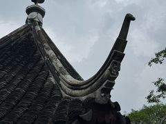 -香雪海