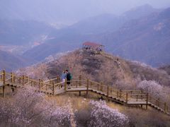 -大岭沟猕猴桃谷风景区