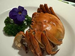 -北京全聚德(清华园店)