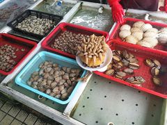 -南沙十九涌渔人码头-南门