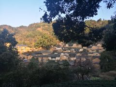 -杨家堂村