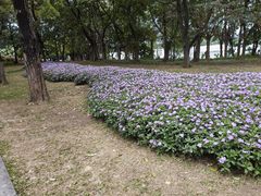 -点都德(广州白云山景区南门店)