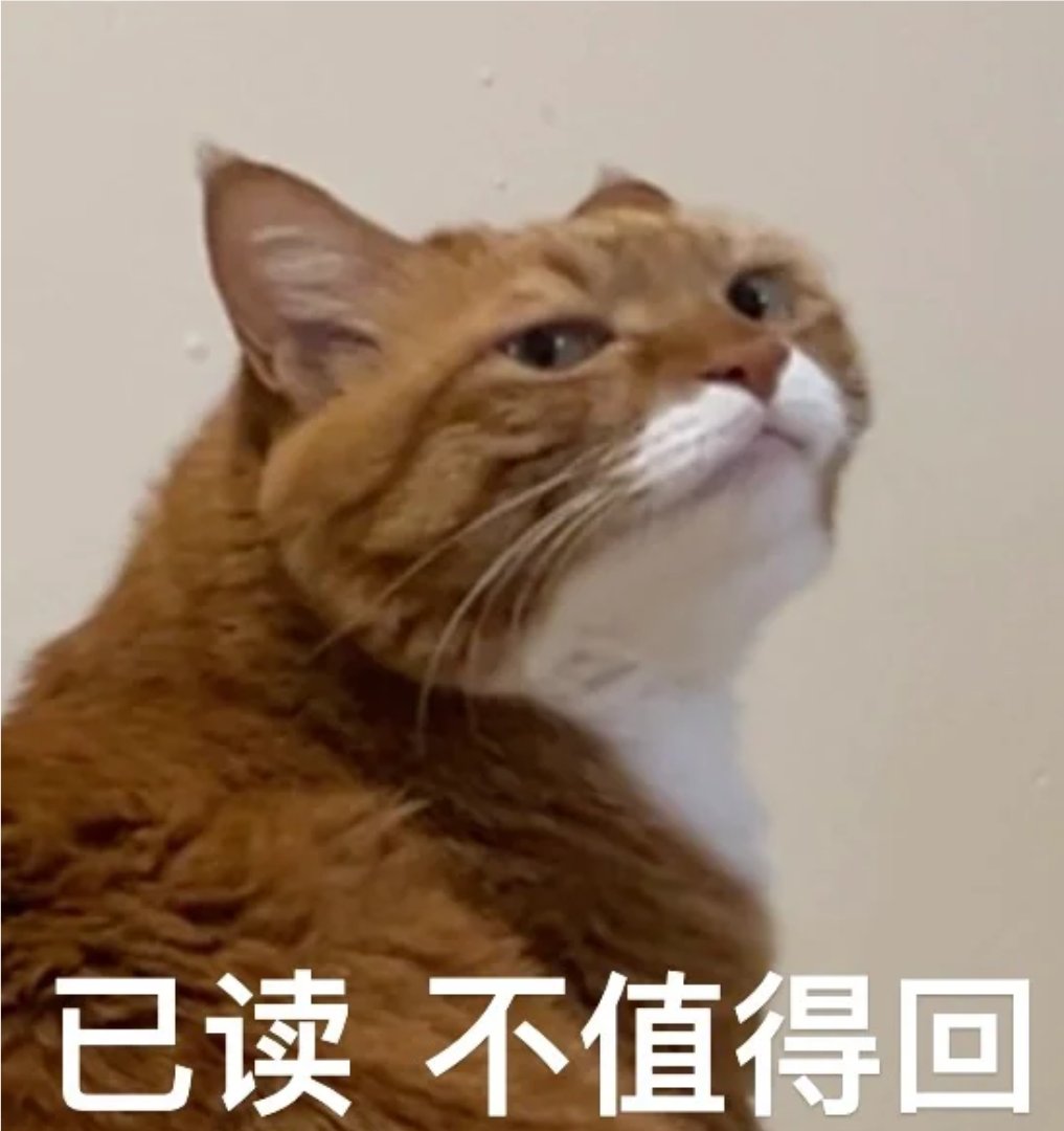 猫咪表情包大放送