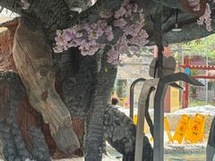 -中铁花水湾四季温泉谷
